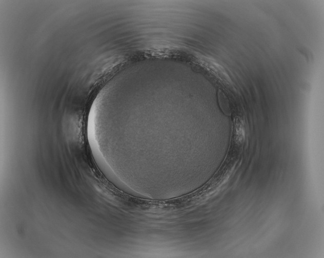 X0000115181060200911121756