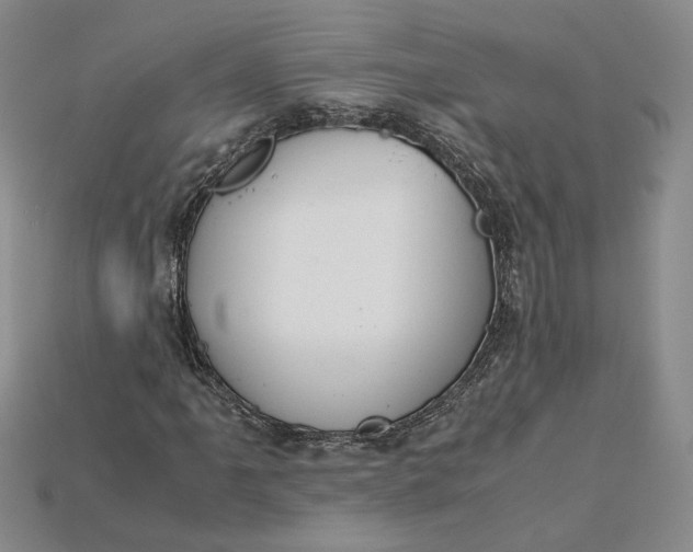 X0000115181061200911121756