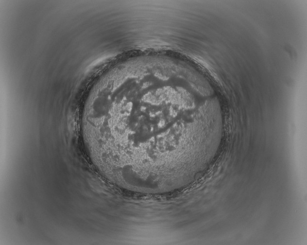 X0000115181063200911121756