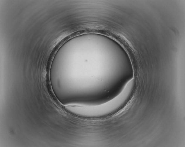 X0000115181065200911121756