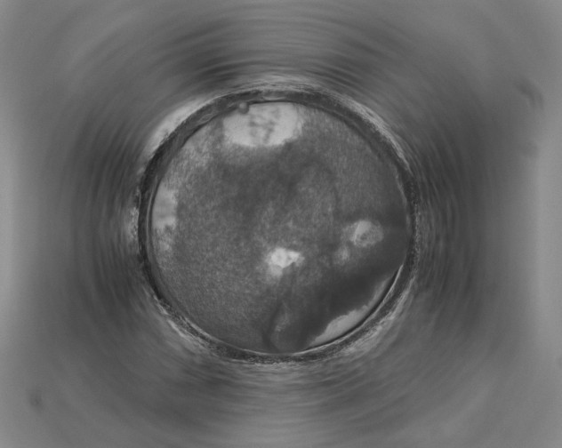 X0000115181066200911121756