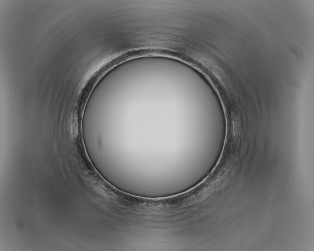 X0000115181069200911121756
