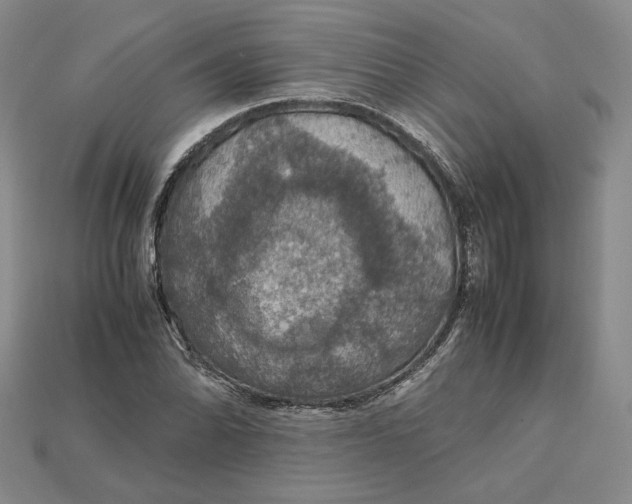 X0000115181070200911121756