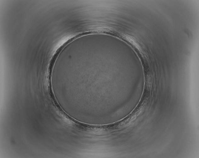 X0000115181071200911121756
