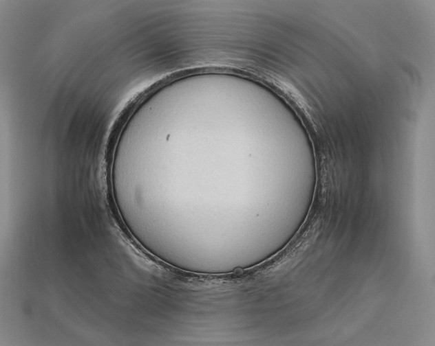 X0000115181072200911121756