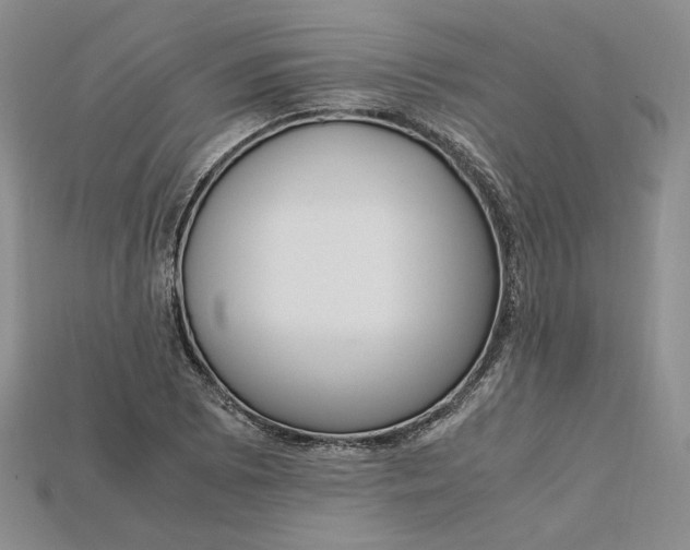 X0000115181073200911121756
