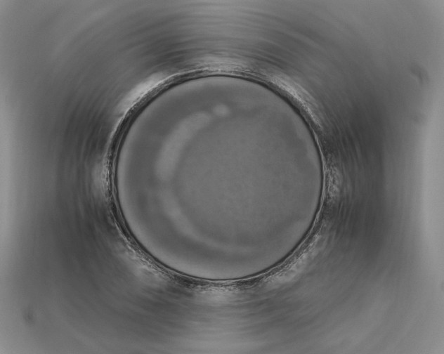 X0000115181074200911121756