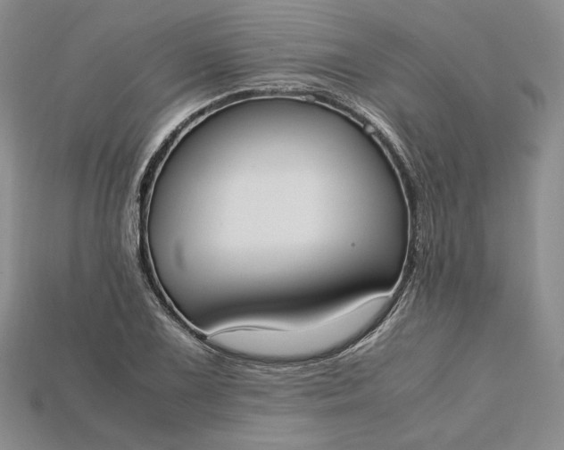 X0000115181075200911121756