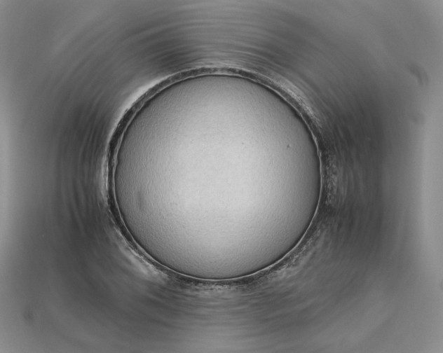 X0000115181076200911121756