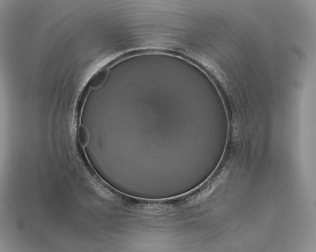 X0000115181077200911121756