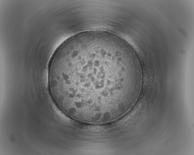 X0000115181079200911121756