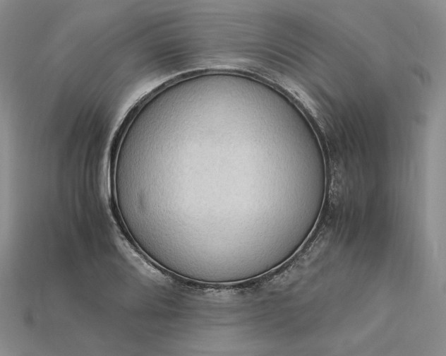 X0000115181080200911121756