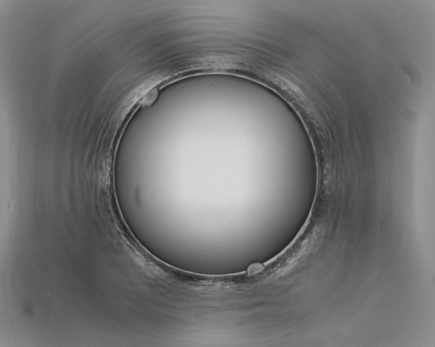 X0000115181081200911121756
