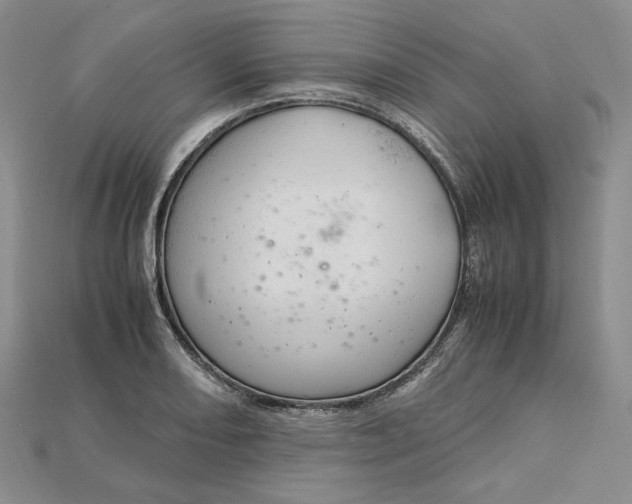 X0000115181082200911121756