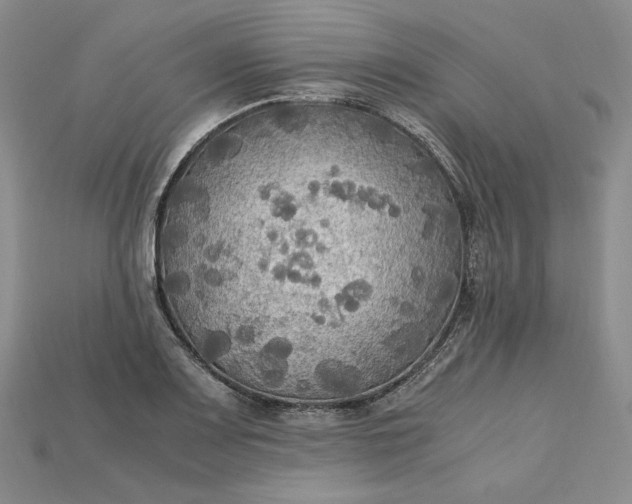 X0000115181083200911121756