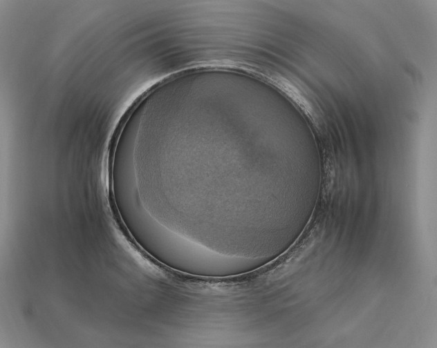 X0000115181084200911121756