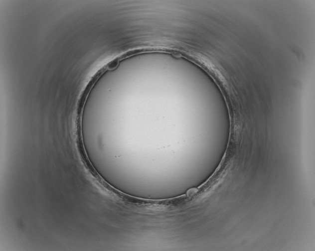 X0000115181085200911121756