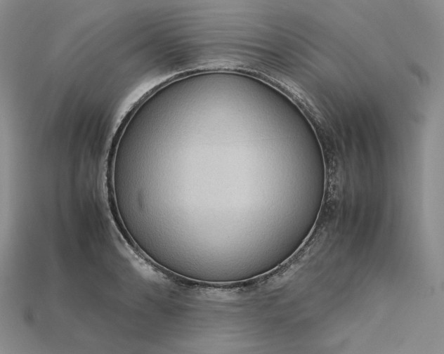 X0000115181086200911121756