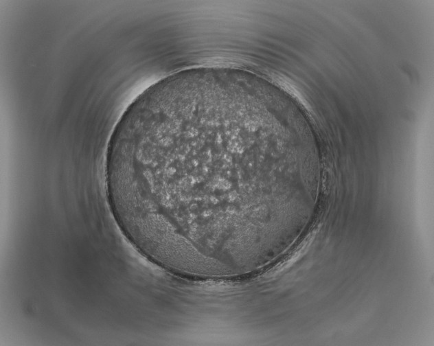 X0000115181087200911121756