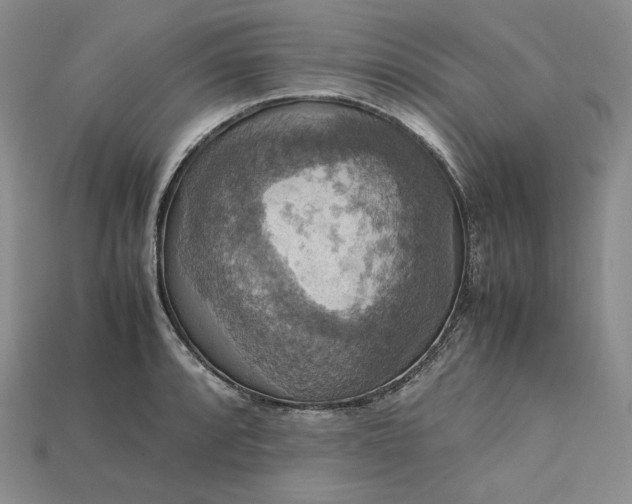 X0000115181088200911121756