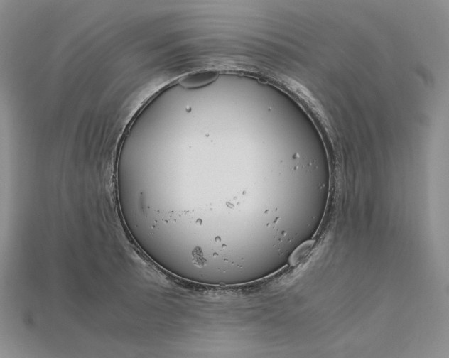 X0000115181089200911121756