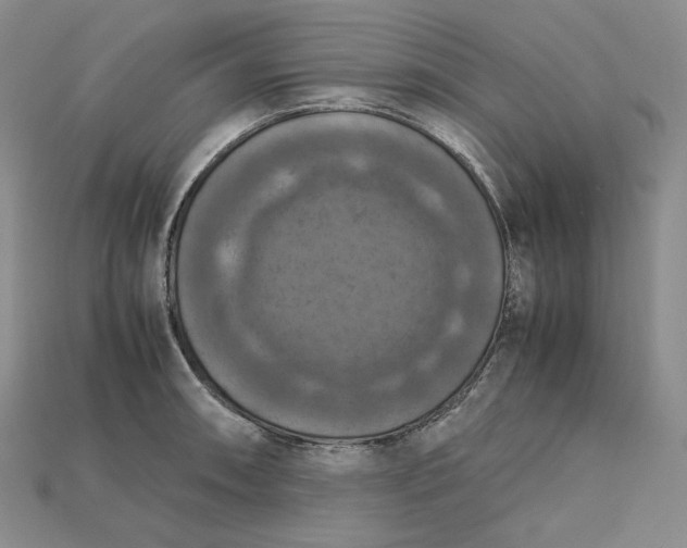 X0000115181090200911121756
