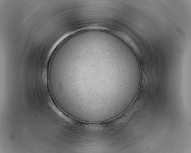 X0000115181092200911121756