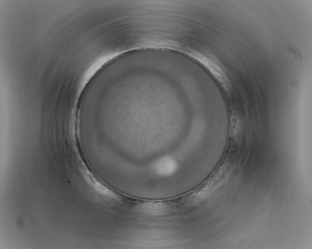 X0000115181094200911121756
