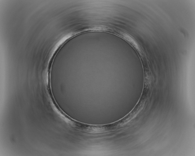 X0000115181095200911121756