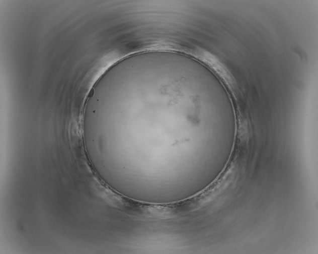 X0000115181097200911121756
