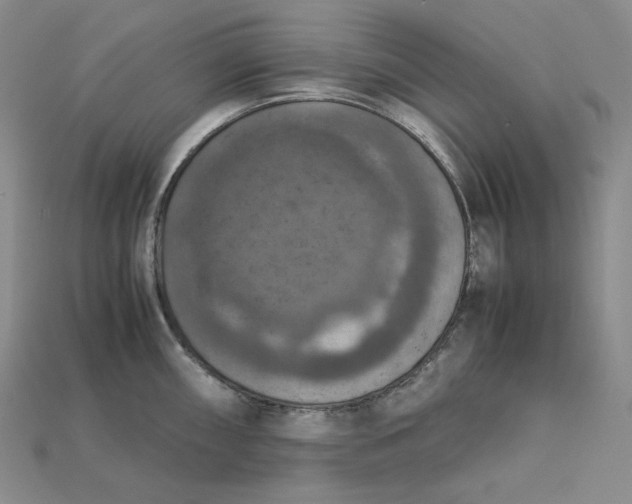 X0000115181098200911121756