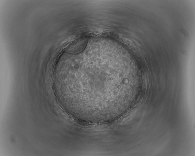 X0000115181105200911121755