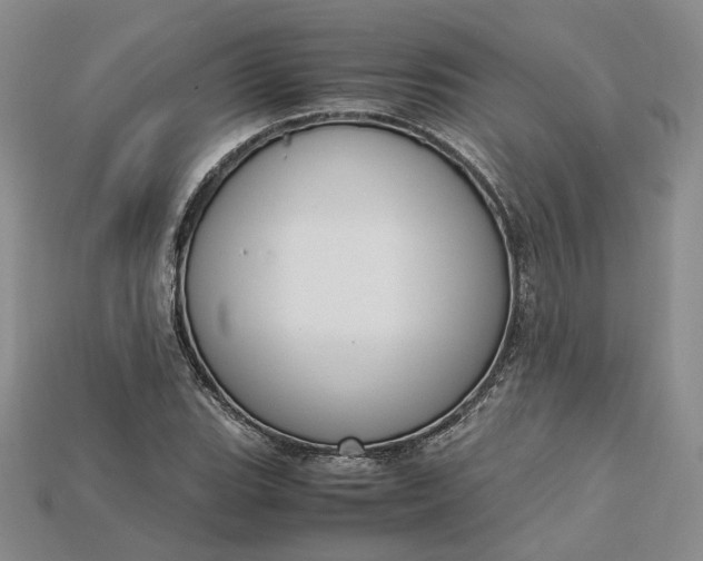 X0000115181119200911121755