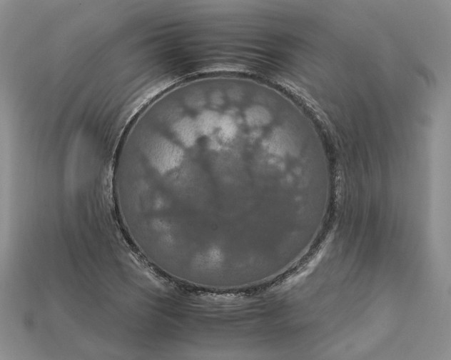 X0000115181121200911121755