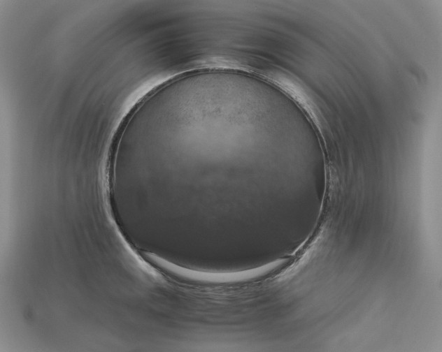 X0000115181141200911121755