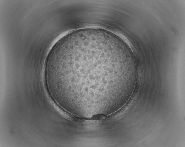 X0000115181142200911121755