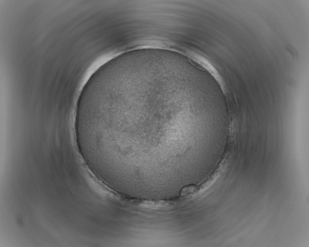 X0000115181146200911121755