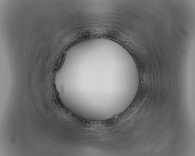 X0000115181153200911121755