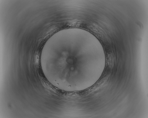 X0000115181154200911121755