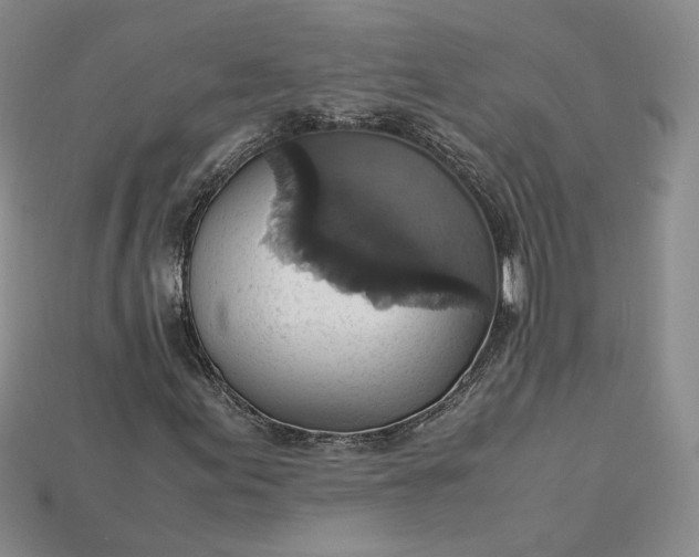 X0000115181155200911121755
