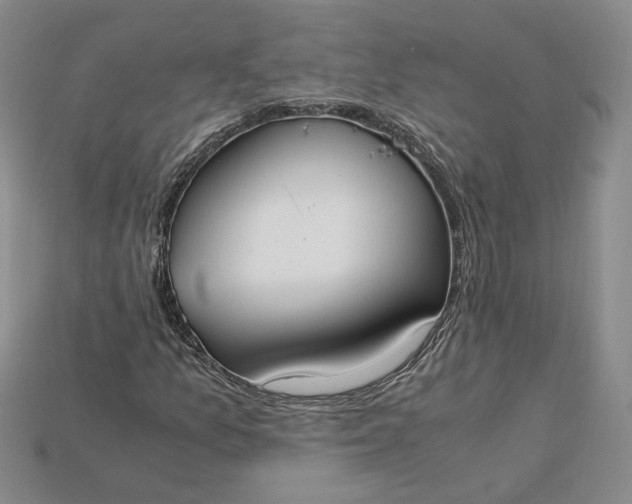 X0000115181157200911121755