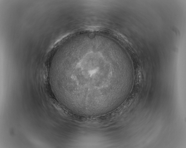 X0000115181158200911121755