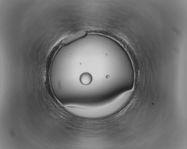 X0000115181165200911121755