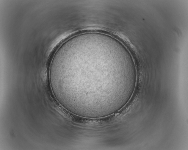 X0000115181167200911121755