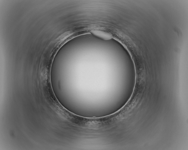 X0000115181169200911121755
