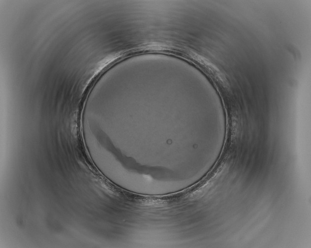 X0000115181170200911121755