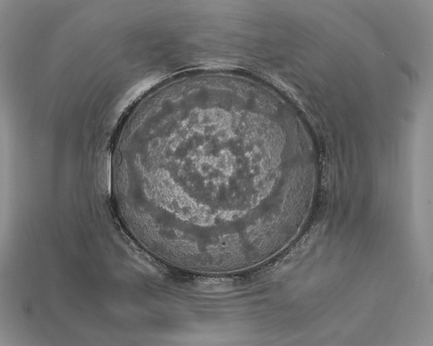 X0000115181171200911121755