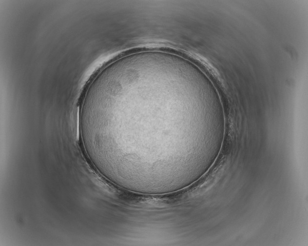 X0000115181175200911121755