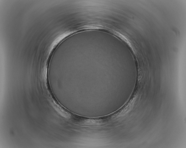 X0000115181179200911121754