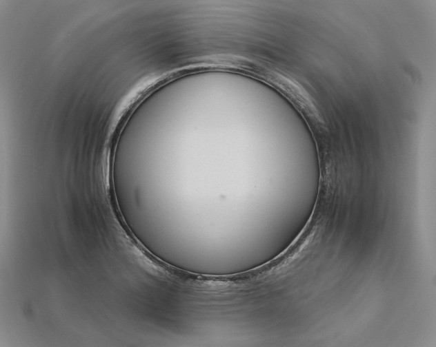 X0000115181180200911121754
